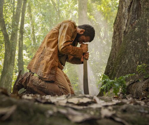 José Inocêncio aos pés do jequitibá-rei